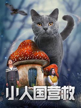 城中之城电视剧免费版在线观看